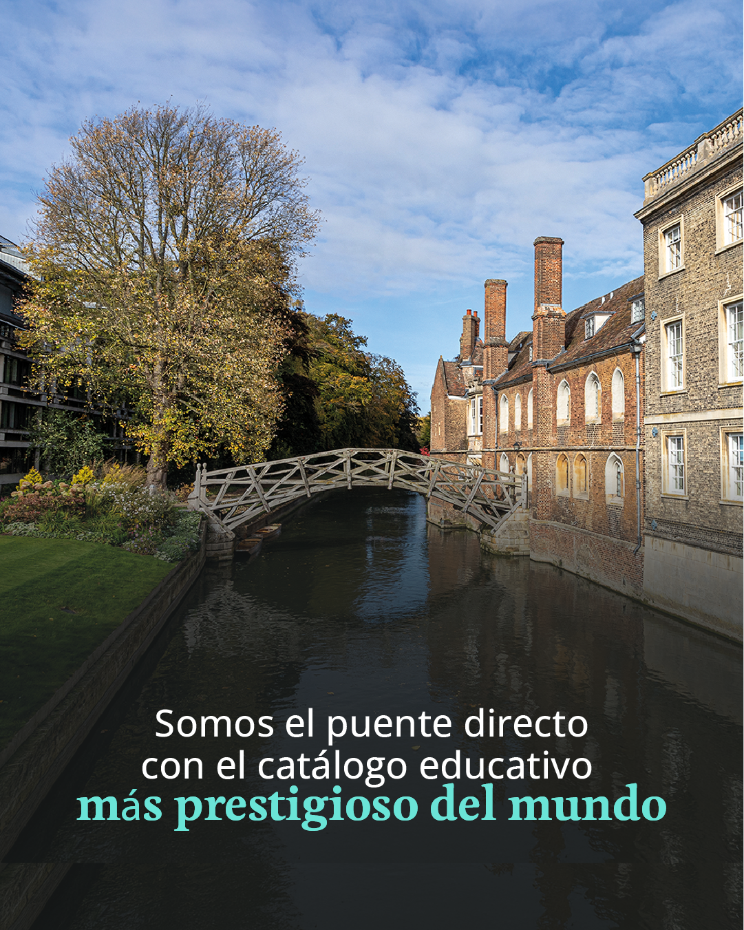 catalogo cambridge mobile